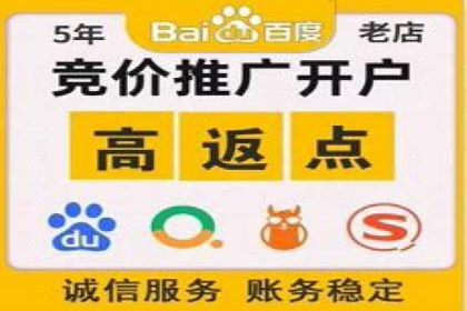 SEM代运营托管公司成功案例分析